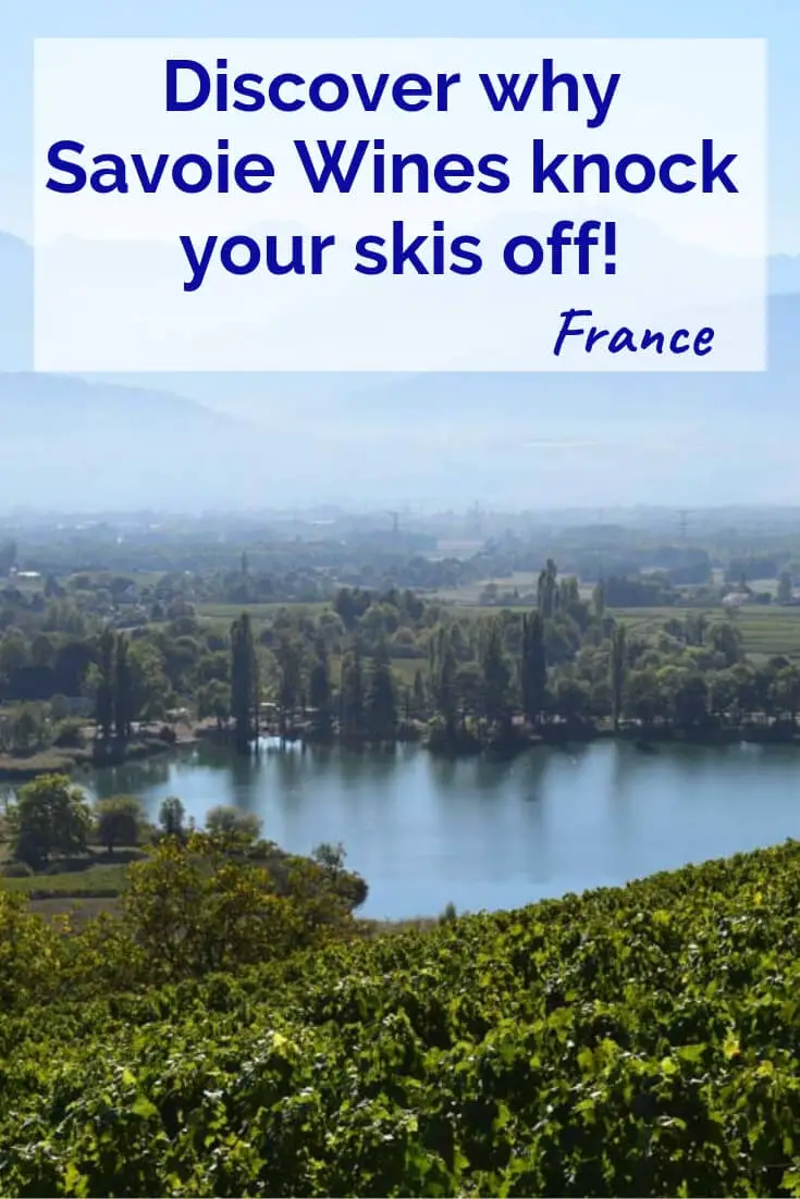 Discover-why-Savoie-Wines-knock-your-skis-off-Pinterest